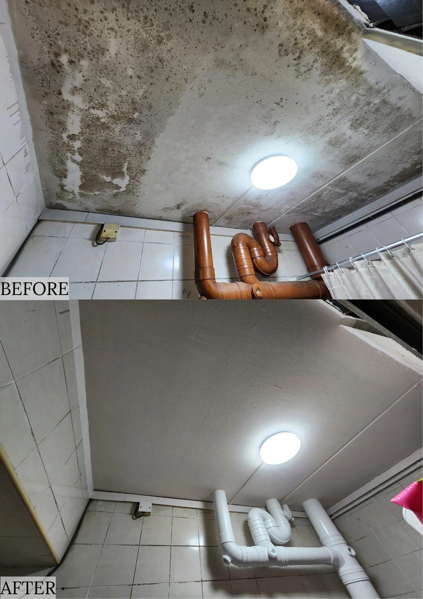 painting company singapore